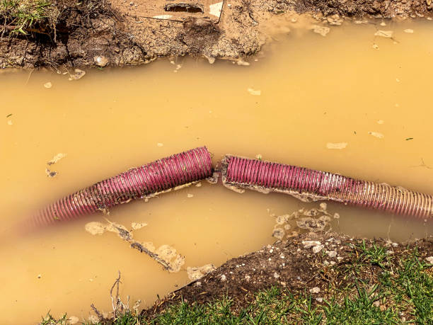 Local water damage restoration in Manassas, VA